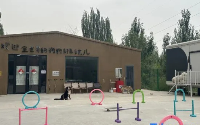 Jiuyue · Green | Pet Joy Pet-Friendly Vacation Apartment – Exterior – Jiuquan