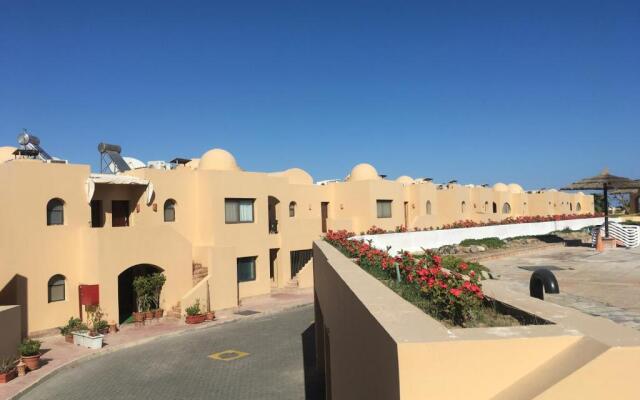 Pool View One bedroom Apt - B103