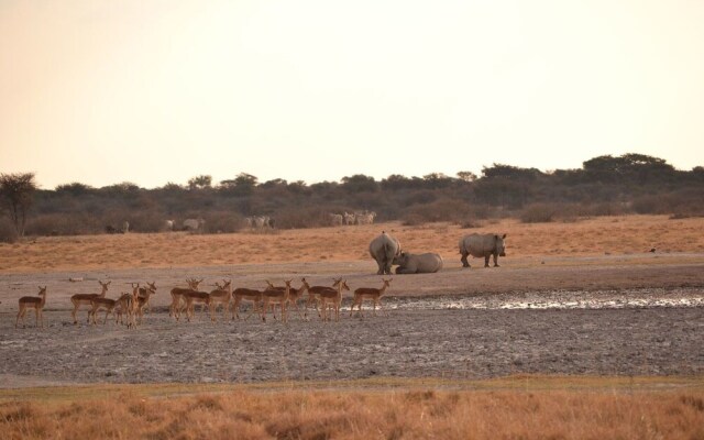 Khama Rhino Sanctuary