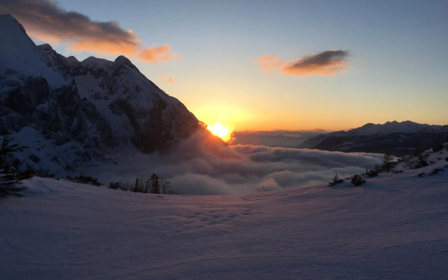 Ferienwohnung Edelweiß - Haus Martin