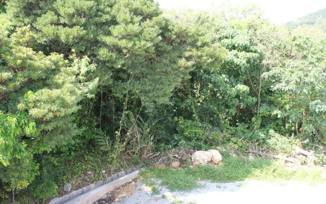 UMIKAJI-AN