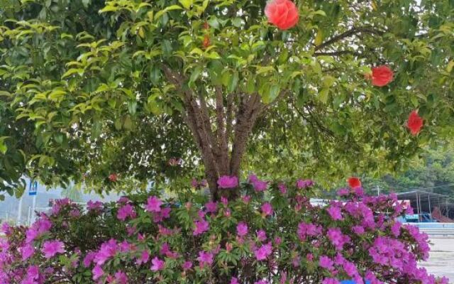 GreenTree Inn Express Sanming Ninghua Bus Station