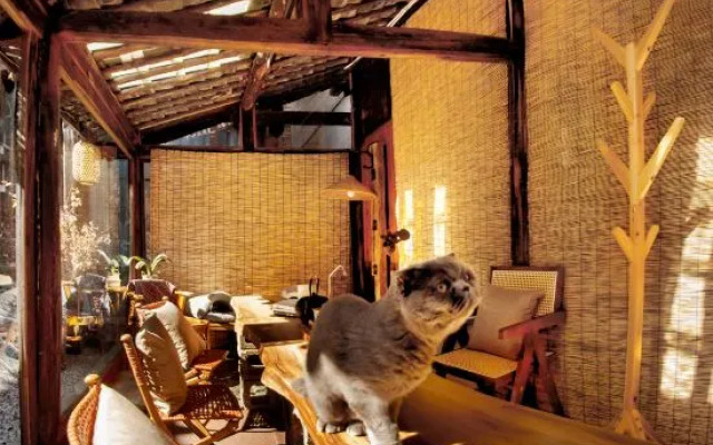FullMoon Inn