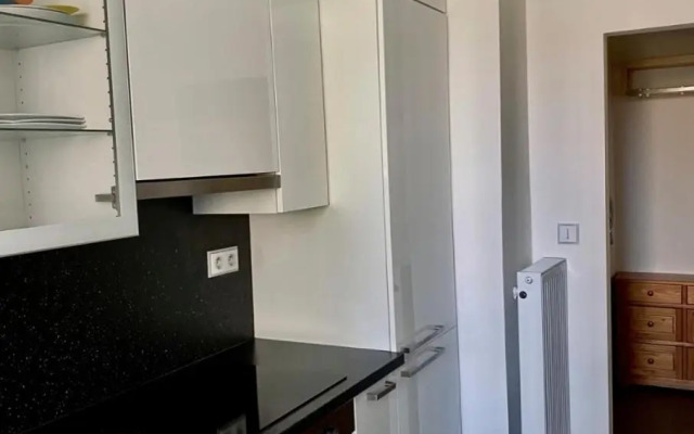 Studio apartment in center Brno