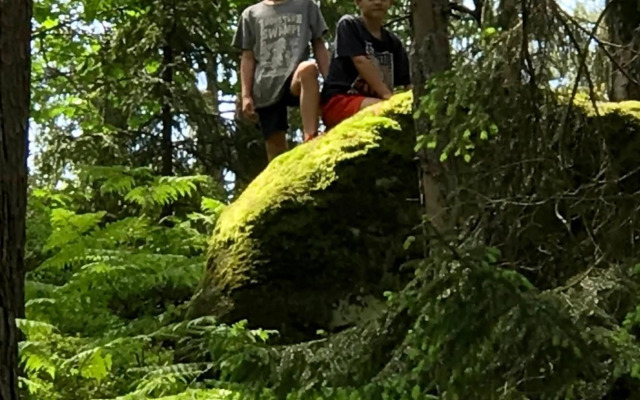 Chaty v Českém ráji