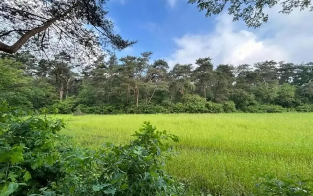 Apartment in Gelderland Near Nature Trails