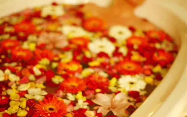 Lisson Grove Boutique Resort & Day Spa
