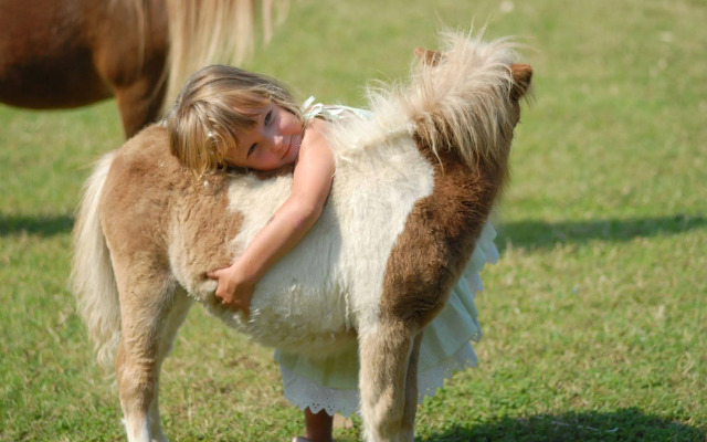 Hotel Monte Turri - Adults Only