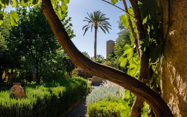 Les Jardins de Skoura