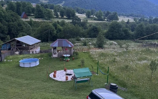 Qvis sakhli