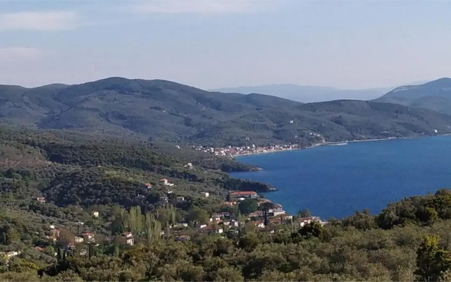 Remvi Studios
