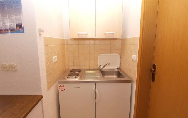 Apartment Mila 395