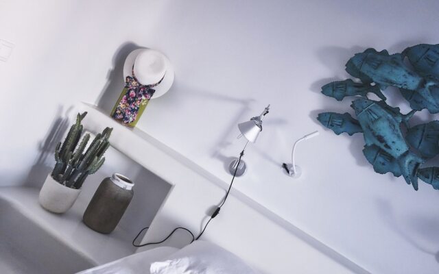 Ficus Villa Mykonos