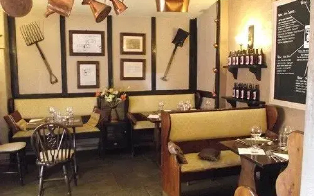 The Pelican