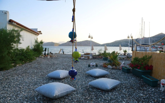 Tiny House Echino söğüt