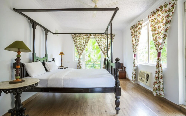 Serenity by The Origami Collection