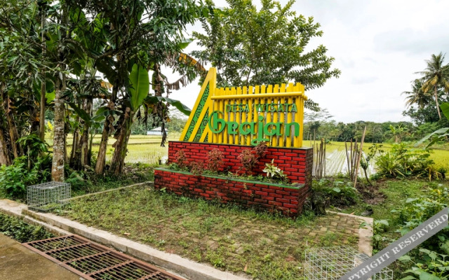OYO Homes 91119 Desa Wisata Brajan