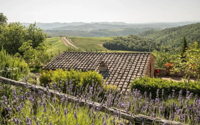 Dievole Wine Resort