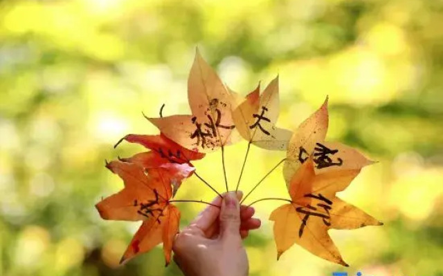Kunming Qianxun Mowen Homestay
