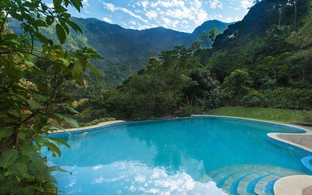 Teanest – Nature Resorts, Coonoor