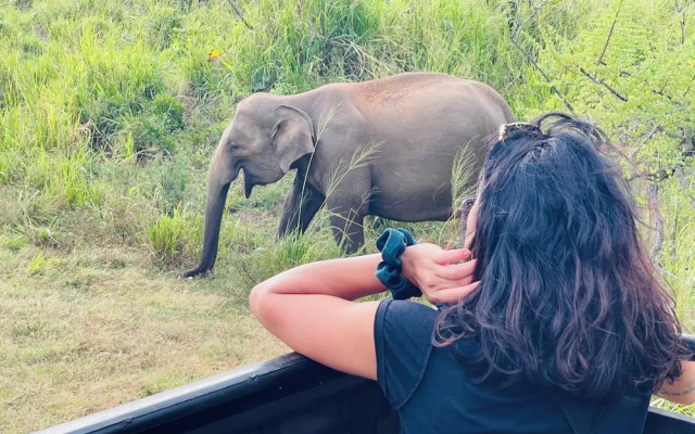 Sigiri Serenity Hostel