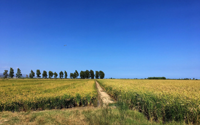 Bonito loft en L'Ampolla