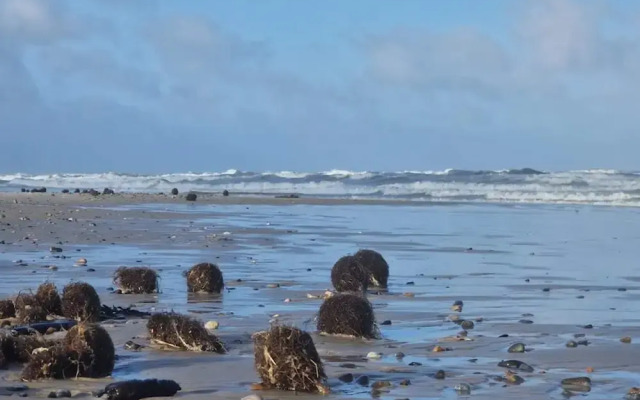 7 Person Holiday Home in Ringkobing