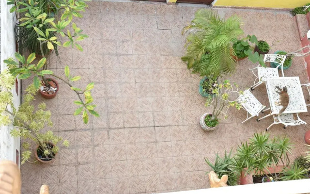 Room in B&B - Cancun Guest House 6