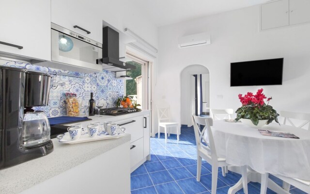 Casa Bluedream