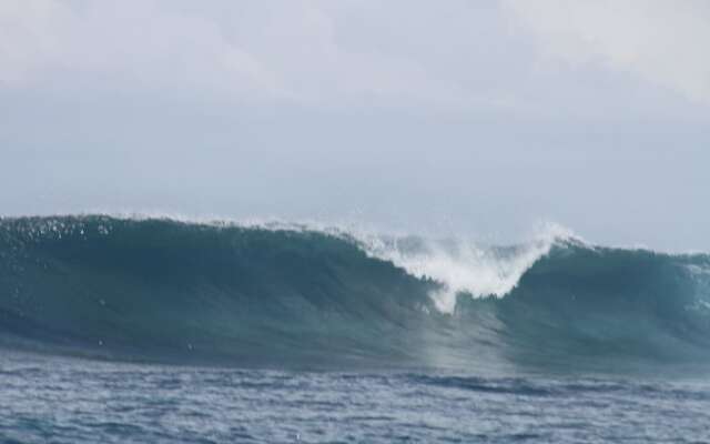 Serene Blue Bowls Surf Inn