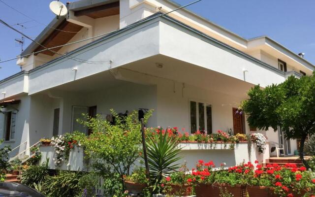 Secret pearl! Amalfi Coast, Pompei & Naples Free parking