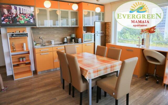 Evergreen Vlas Mamaia
