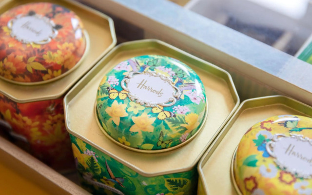 Most convenient apartment in Venice