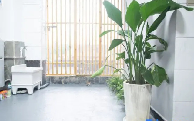 Yongzhou Kapok Homestay (Baiye Street)