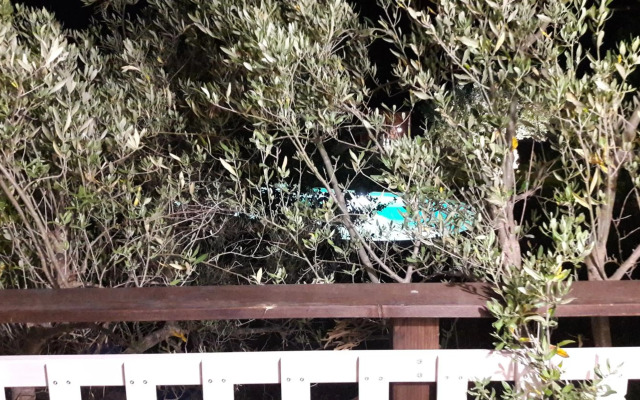 Palazzo Conforti Tree House Resort