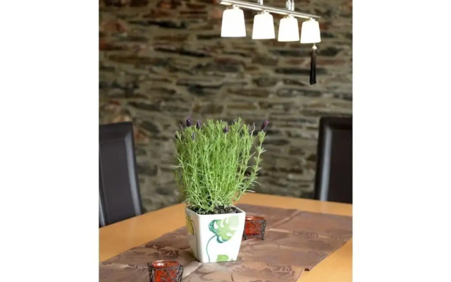 Uitzicht op de Moezel in Urzig