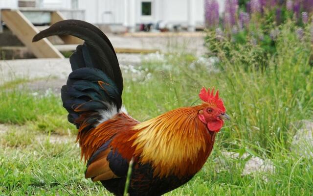 5 Person Holiday Home in Kungshamn