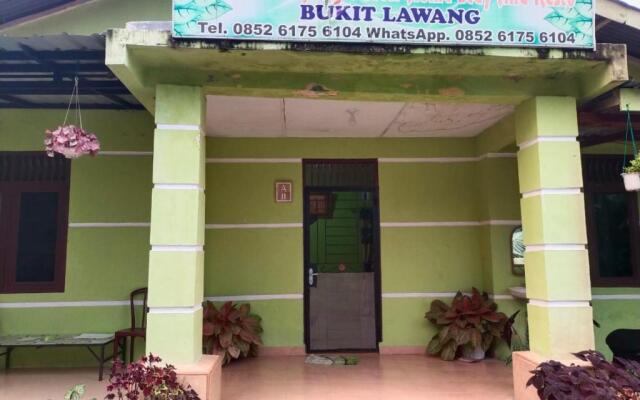 Jungle View Homestay Bukit Lawang