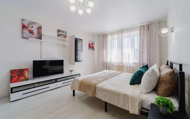 Апартаменты Степаненков на улице Белинского 137