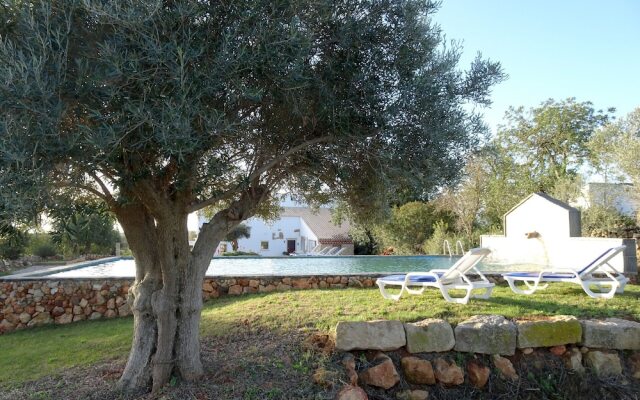 CIP V8 Gold - New!!!