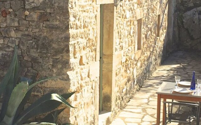 The Lotus Tree Guesthouse