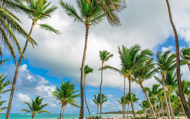 Palm Green Vacations Whitesands
