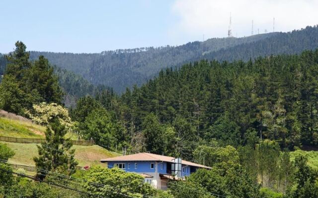 Отель Txoriene — Arrieta