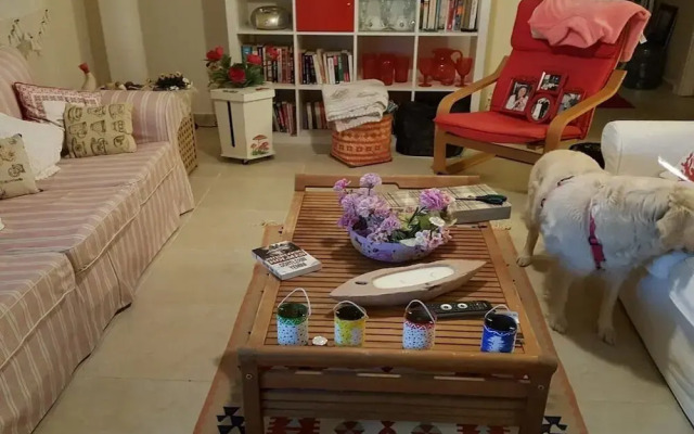 BO062 by Villaofsummer