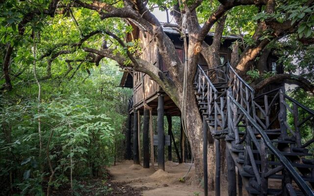 Pugdundee Safaris- Tree House Hideaway