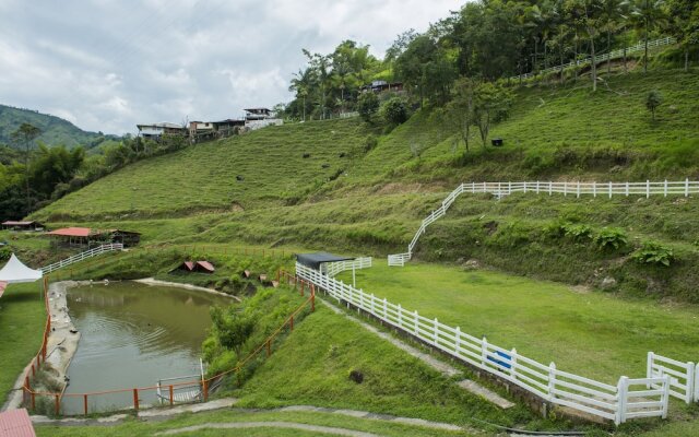 Hacienda Charrascal Coffe Farm