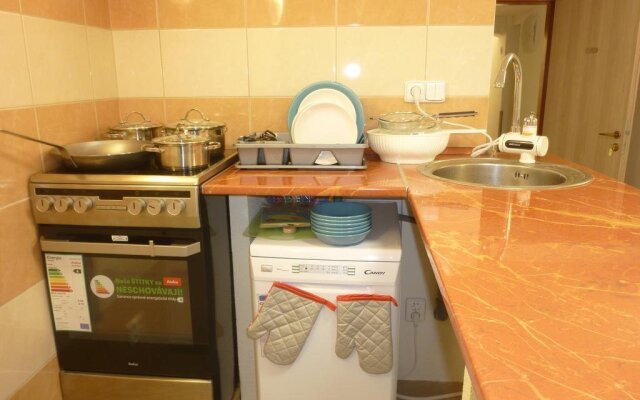 Apartment Karlovy Vary