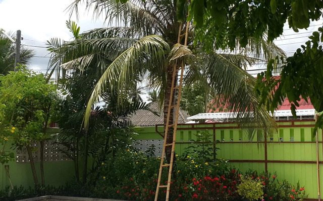 Warakorn Baansuan - Amphawa