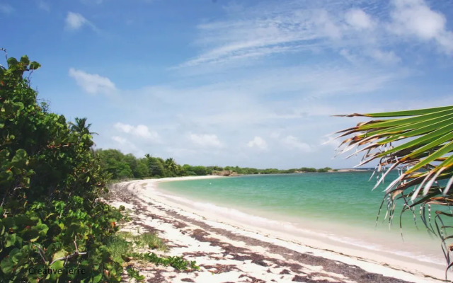 Le Marina Love 2- Le Marin-martinique - Face Ocean