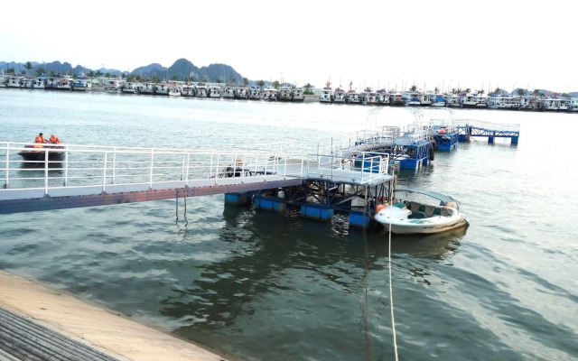 Gray Line Halong Cruise